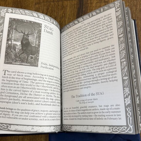 The Druid Animal Oracle Card Set with Mat & Book 1994 Working with the Sacred An - Picture 6 of 8